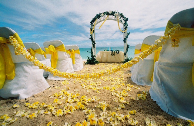 decoração-casamento-amarelo-ceub (41)